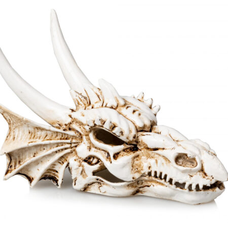 Giganterra Dinosaur 3