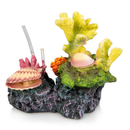 Giganterra Corals and Seashells 2