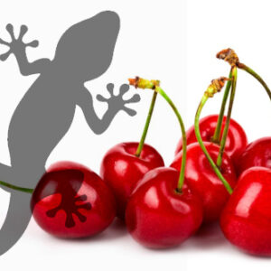 Pets2Wholesale Gecko Diet - Cherry Bomb