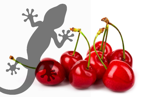 Reptile Supplies Gecko Diet - Cherry Bomb 60g