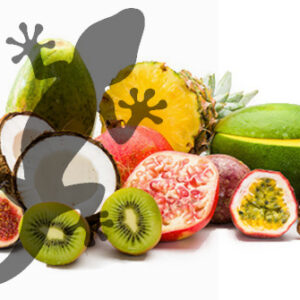 Pets2Wholesale Gecko Diet - Tropical Temptation
