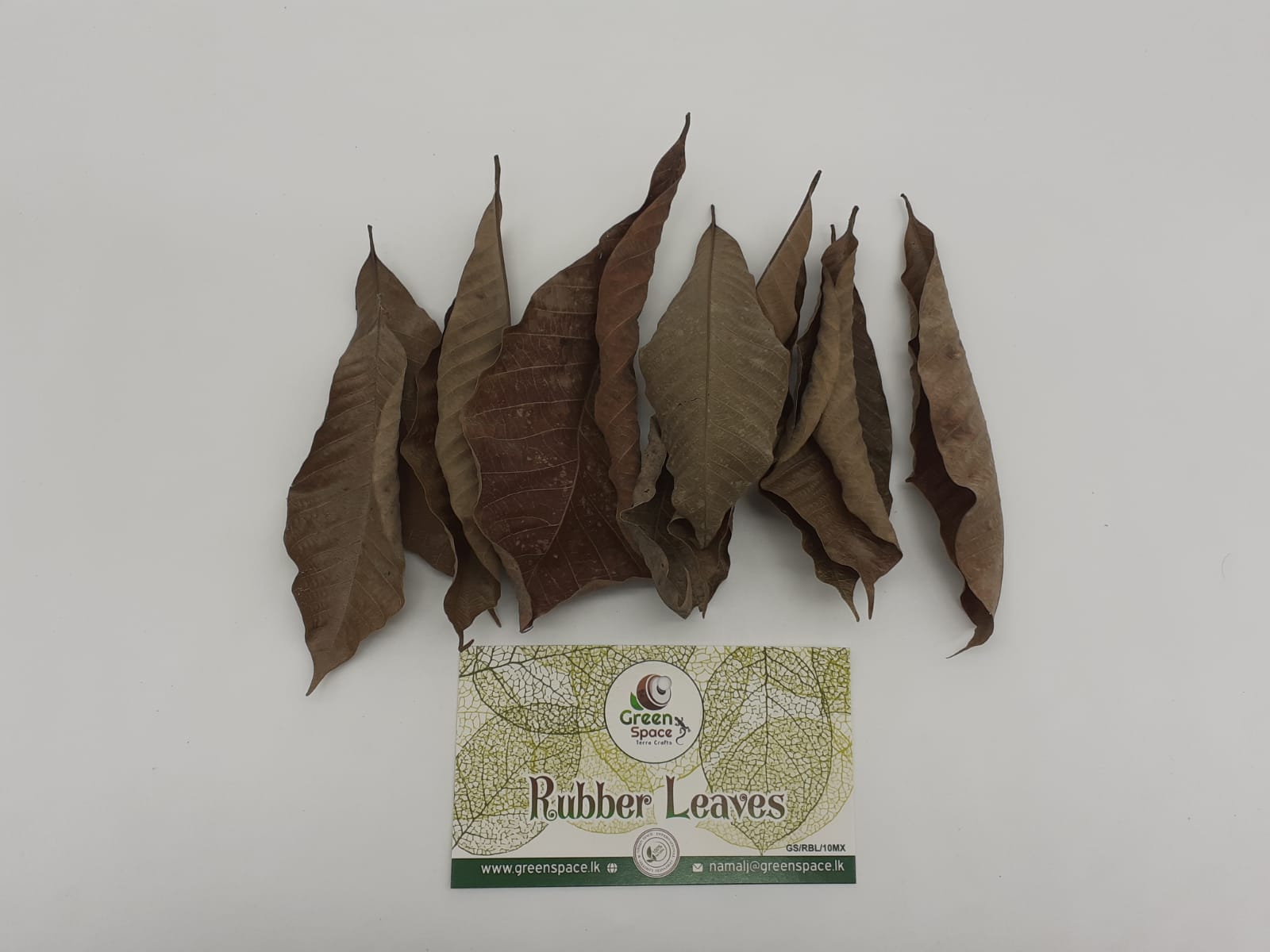 Rubber Leaves