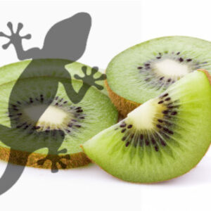 Pets2Wholesale Gecko Diet - Kiwi Kiss