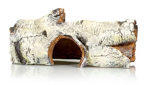 Giganterra Birch Stump Hide