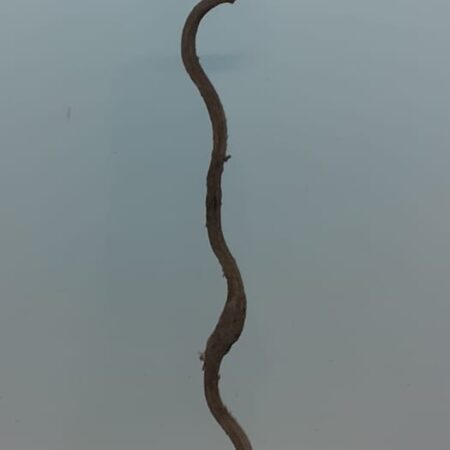 Liana Monkey Ladder - Natural