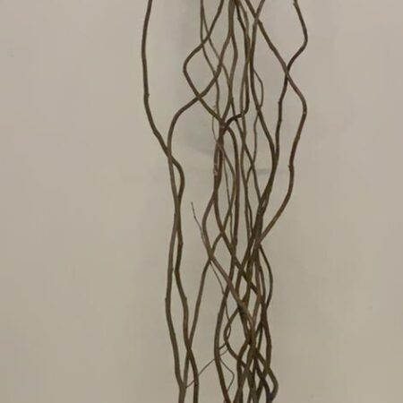 Willow Branches - Salix - 100cm