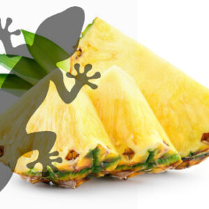 Pets2Wholesale Gecko Diet - Pineapple Passion