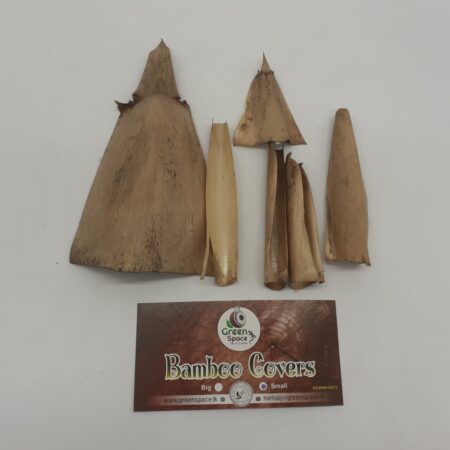 Bamboo Cover - Small