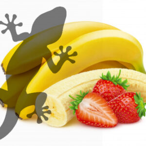 Pets2Wholesale Gecko Diet - Banana & Strawberry