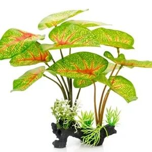 Giganterra Artificial Standing Pothos