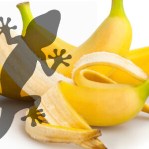 Pets2Wholesale Gecko Diet - Banana Bonanza