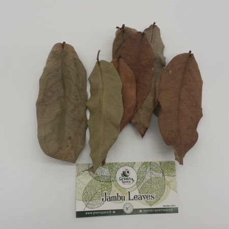 Jambu Leaves
