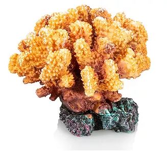 Giganterra Artificial Coral