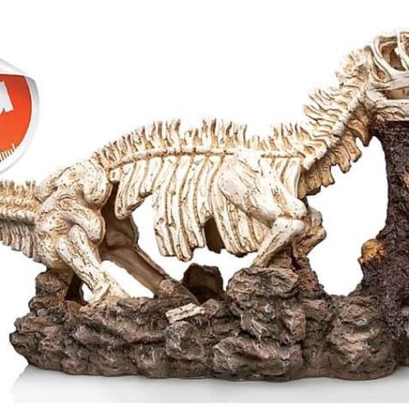 Giganterra XXL Dinosaur Skeleton Ornament