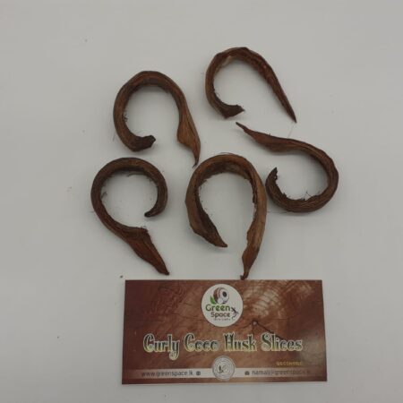 Curly Coco Husk Slices