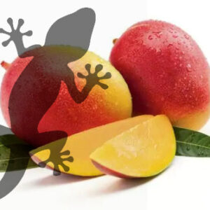 Pets2Wholesale Gecko Diet - Mango Mayhem