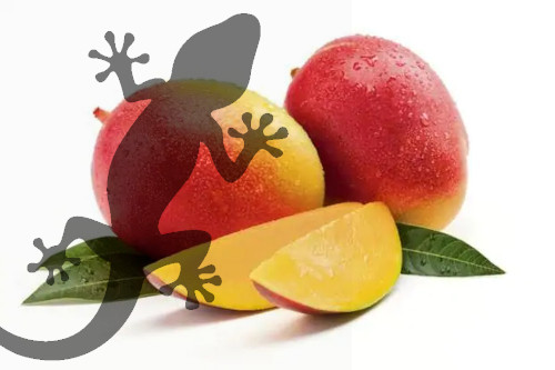 Reptile Supplies Gecko Diet - Mango Mayhem 60g