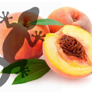 Pets2Wholesale Gecko Diet - Peach Paradise