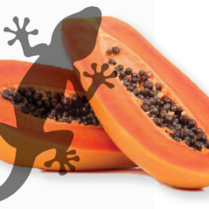 Pets2Wholesale Gecko Diet - Papaya Supreme