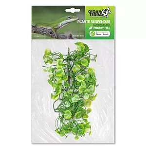 Giganterra Small Artificial Hanging Hydrocotyl