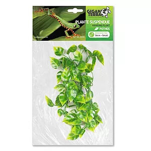 Giganterra Small Artificial Hanging Pothos