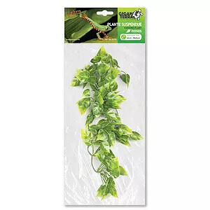 Giganterra Medium Artificial Hanging Pothos