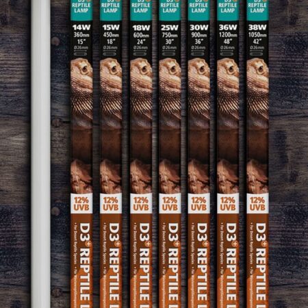 Arcadia D3+ 12% T8 UVB Lamp