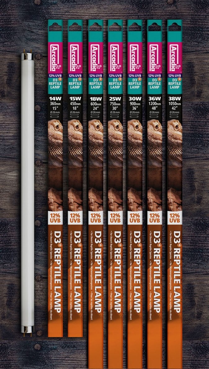 Arcadia D3+ 12% T8 UVB Lamp