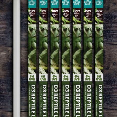 Arcadia D3 6% T8 UVB Lamp