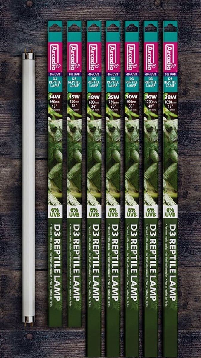 Arcadia D3 6% T8 UVB Lamp