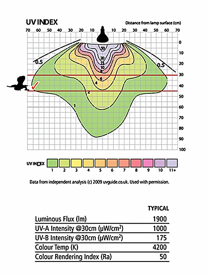Arcadia D3 UV Basking Lamp - Image 2