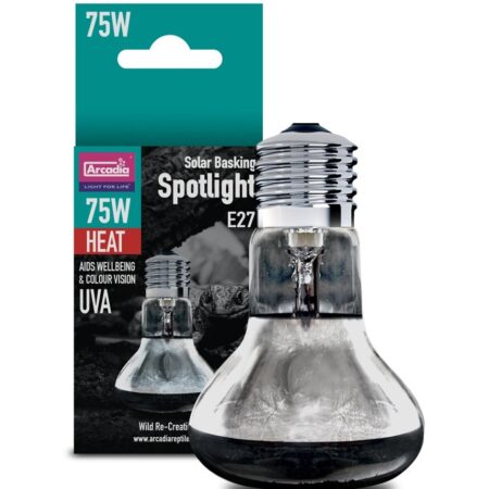 Arcadia Basking Solar Spot