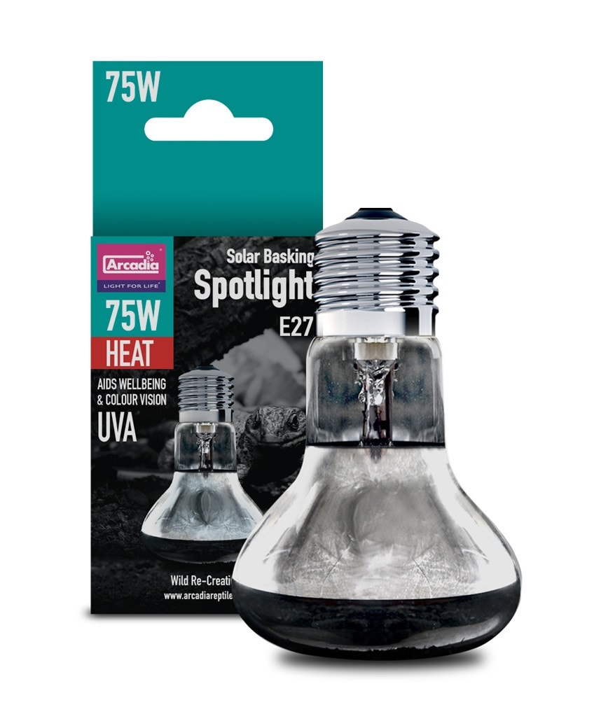 Arcadia Basking Solar Spot