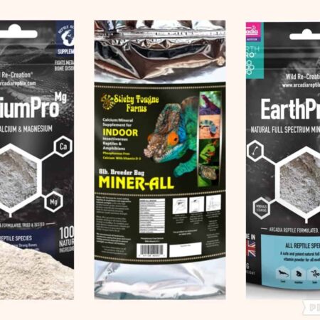 Bearded Dragon Supplement Pack