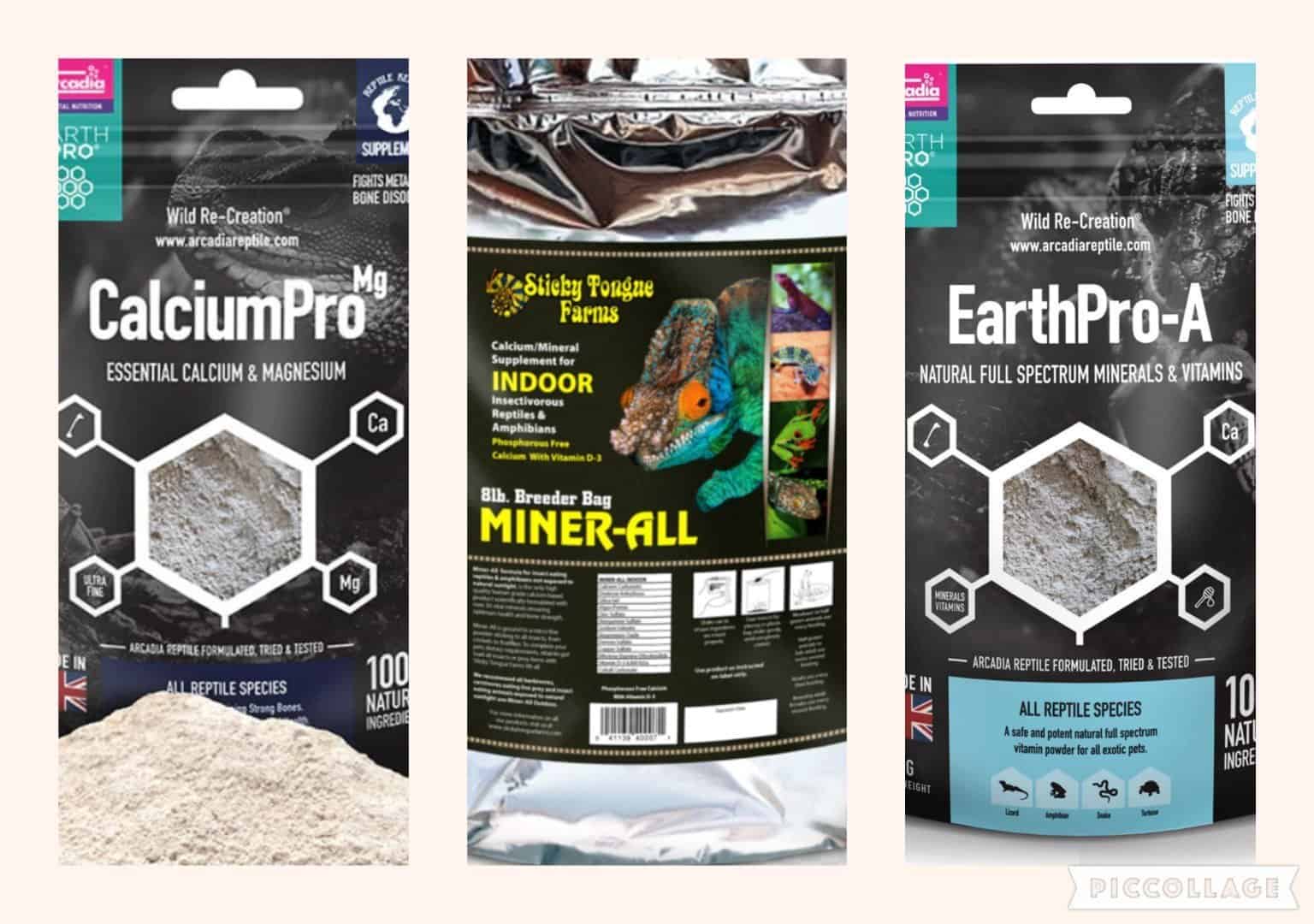 Bearded Dragon Supplement Pack