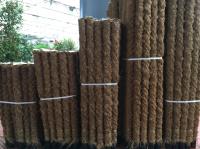 Coir 'Mosspoles'