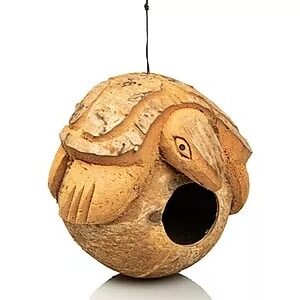 Giganterra Turtle-Shaped Coconut Hide