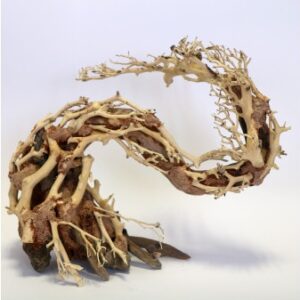 Dragon Tree Medium Piece 30x23x13cm