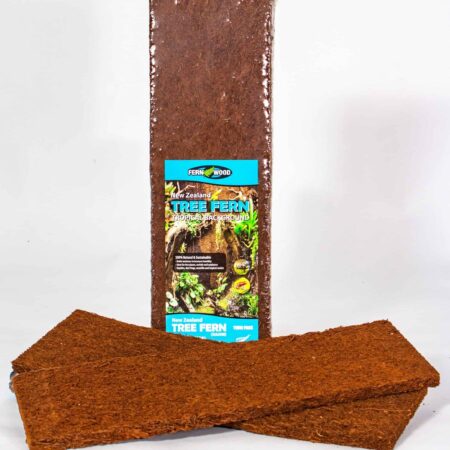 Tree Fern Panel & Moss Mix Combo