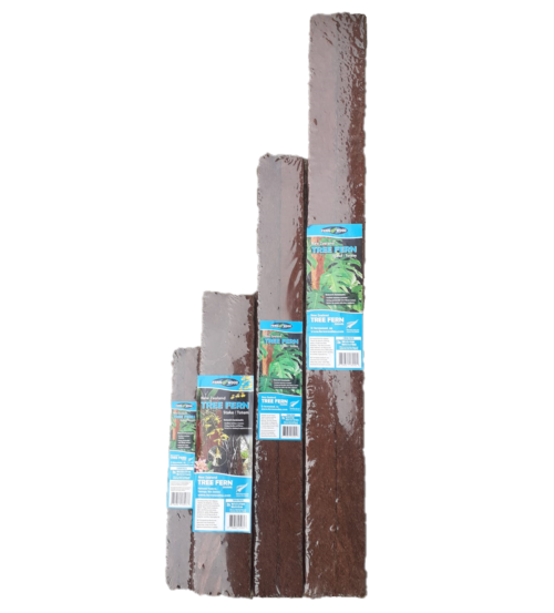Tree Fern Totems - Image 2