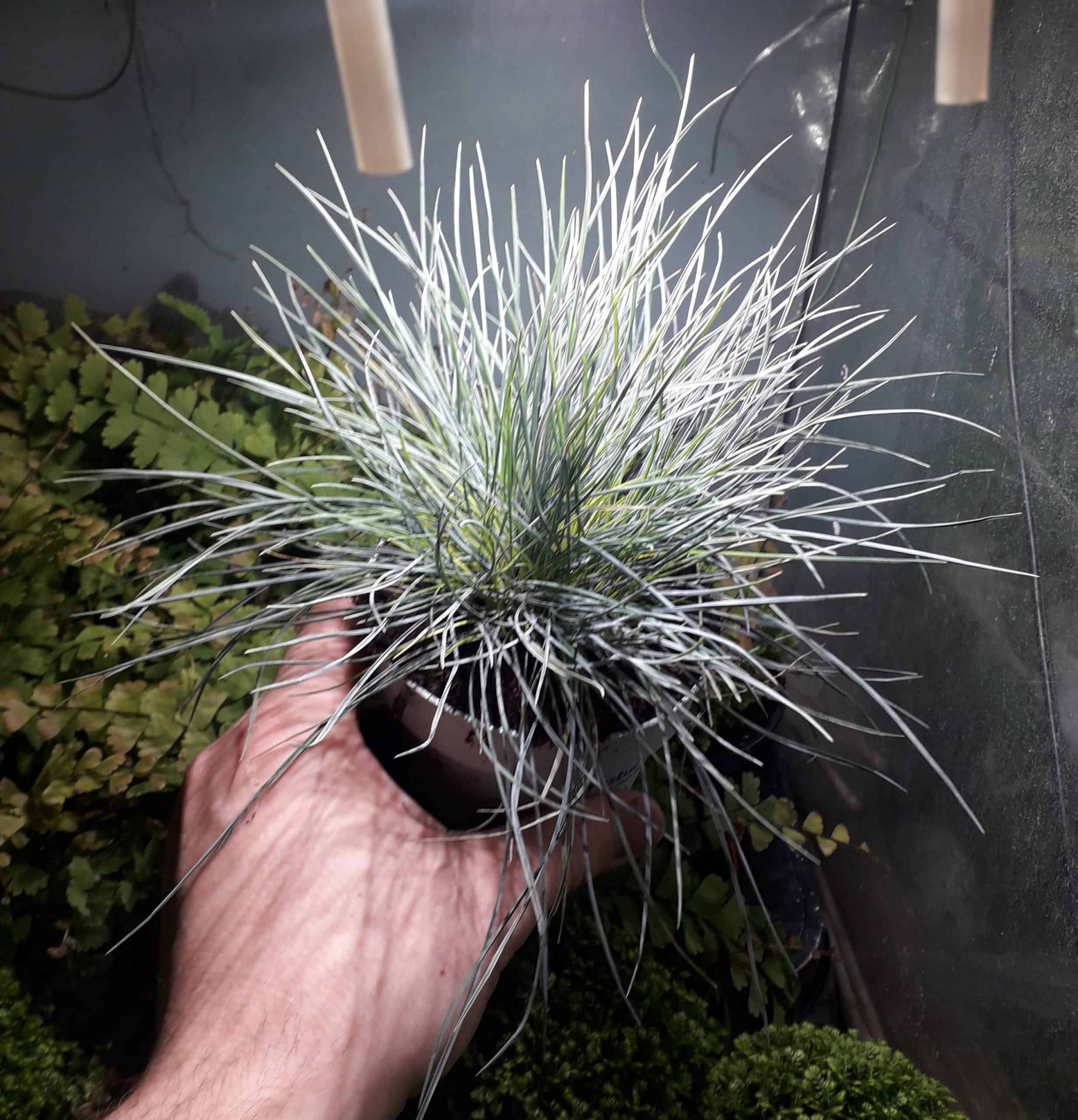 Tortoise Starter Kit - Linear T5 UV - Image 7