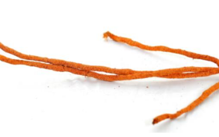 Buzzard Reptile Natural Tropical Vine 2.1 Metre