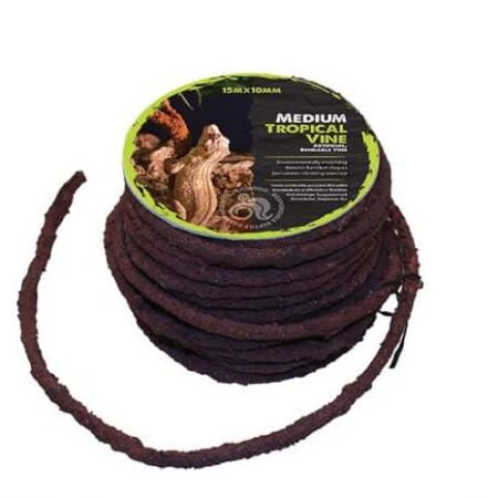 Komodo Tropical Vine