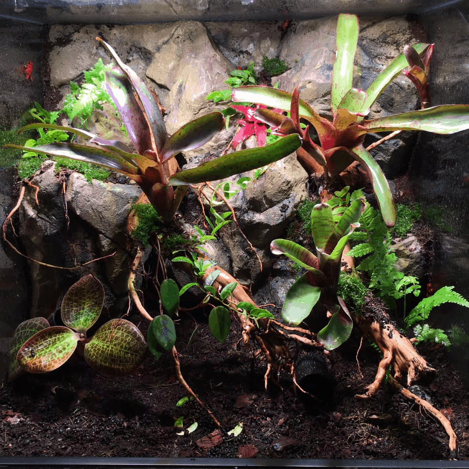 SkyLight Mid-30R Intense - Image 2