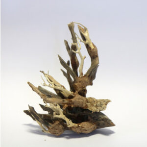 Octopus Wood Small Piece 15 x 20 x 10cm