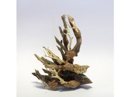 Octopus Wood Small Piece 15 x 20 x 10cm