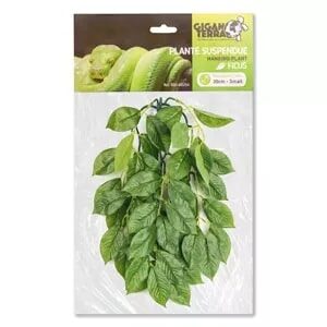 Giganterra Small Artificial Hanging Ficus