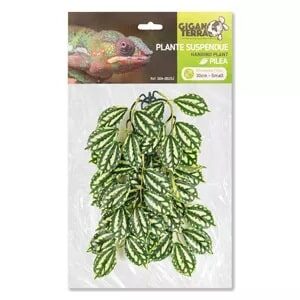 Giganterra Small Artificial Hanging Pilea