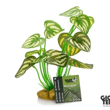 Giganterra Artificial Standing Pothos