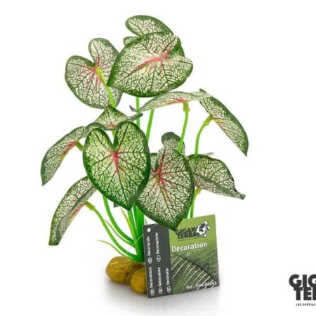 Giganterra Artificial Standing Pothos